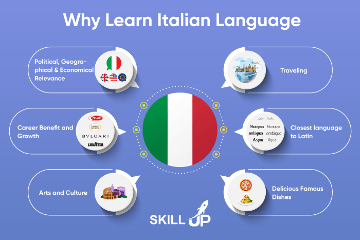 What Language is Spoken in Rome: A Linguistic Journey Through History Italian stone pine growing tips