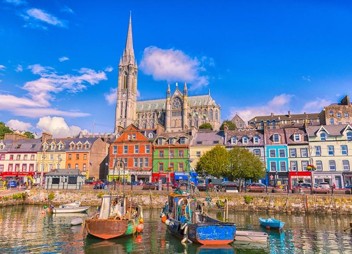 Irish City Named One Of The Best Destinations In The World! Bells of ireland flower